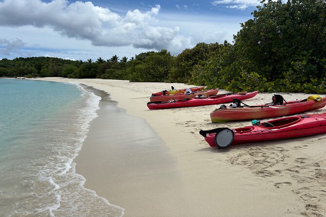 Kayak & Snorkel with Sea Turtles, National Park, St. John - Three hours or the longer option