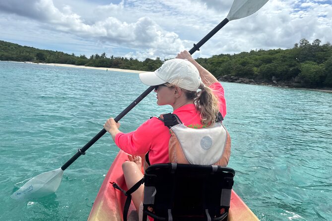 Kayak & Snorkel with Sea Turtles, National Park, St. John - Is $119 a fair price?