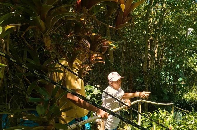 Luxury Private Tour in ST.Thomas(6per group) - Local stories add meaning between the stops