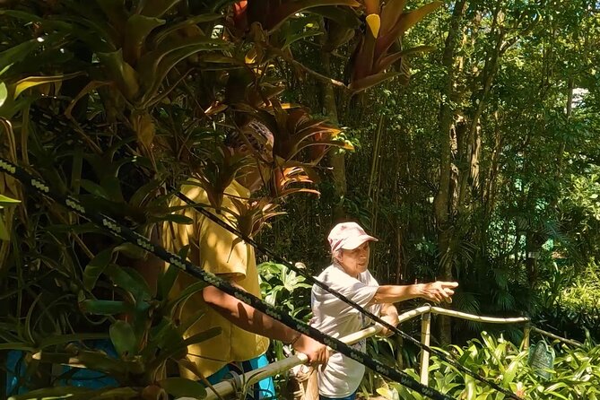 Luxury Private Tour in ST.Thomas(6per group) - Charlotte Amalie works best with time to wander