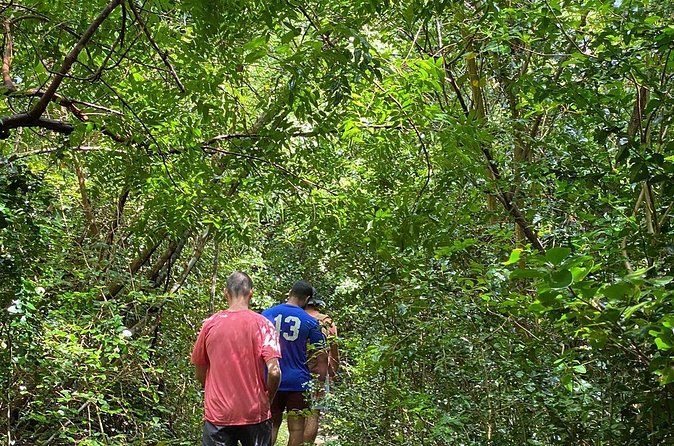 Magens Bay Trail Hiking Tour - Practical preparation for a smoother outing