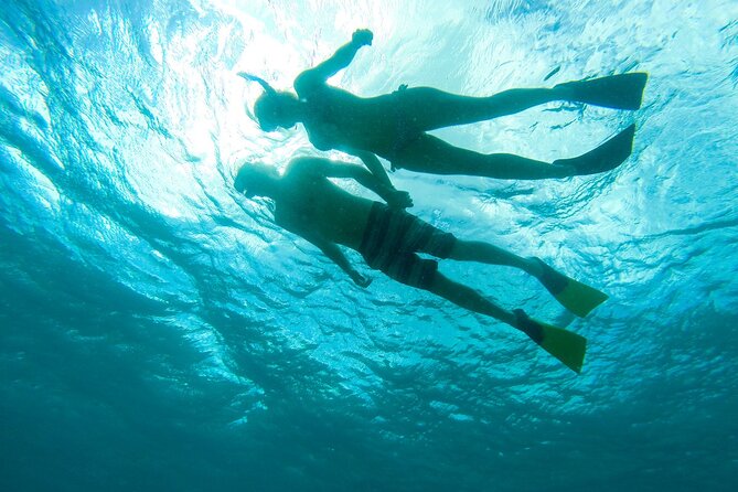 Maho Bay Turtle Snorkel with Lunch and Bar at Frenchman's Reef - Is $139 a fair price?
