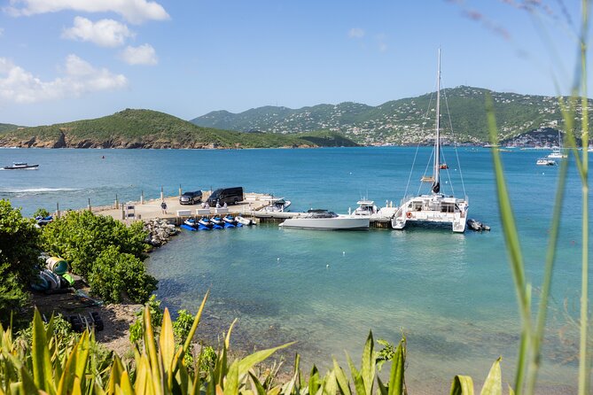 Maho Bay Turtle Snorkel with Lunch and Bar at Frenchman's Reef - Why Maho Bay is the main attraction