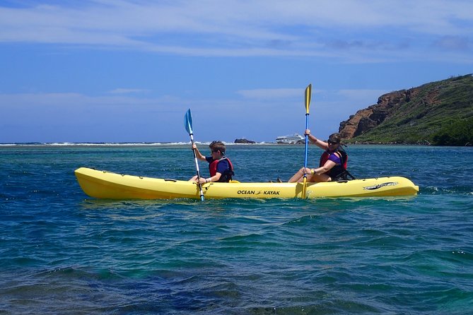 Mangrove Lagoon Kayak Rental in St Thomas - Starting at Mariendahl Road in Nadir
