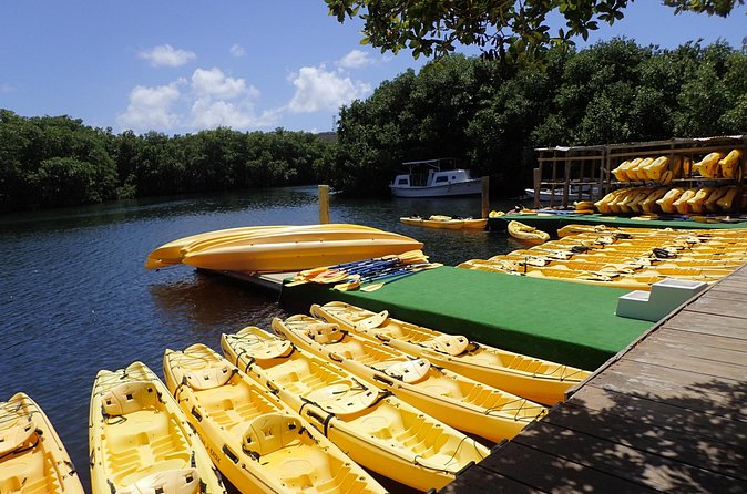 Mangrove Lagoon Kayak Rental in St Thomas - Paddling through mangrove tunnels