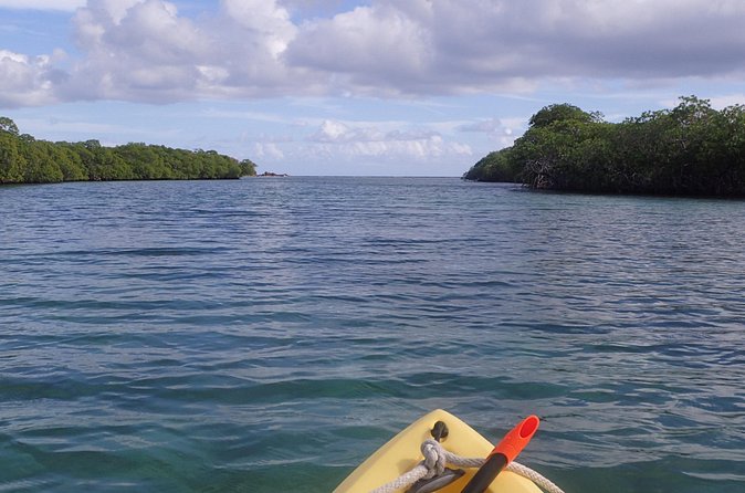 Mangrove Lagoon Kayak Rental in St Thomas - Snorkeling among fish and rays