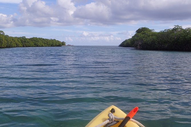 Mangrove Lagoon Kayak Rental in St Thomas - Is $69 a good value for a full day?