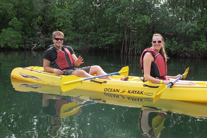 Mangrove Lagoon Kayak Rental in St Thomas - Choosing a single or double sit-on-top kayak