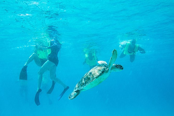 National Park Snorkeling Excursion - Key Things To Know Before You Book