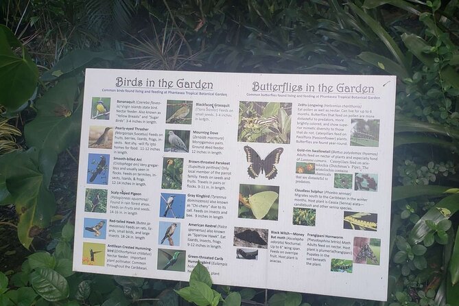Nature and Sightseeing at Phantasea Tropical Botanical Garden - A small St. Thomas garden with a clear purpose