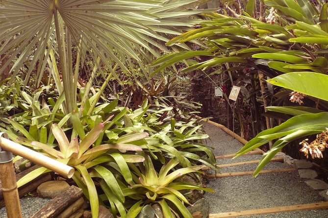 Nature and Sightseeing at Phantasea Tropical Botanical Garden - Who will enjoy this garden most?