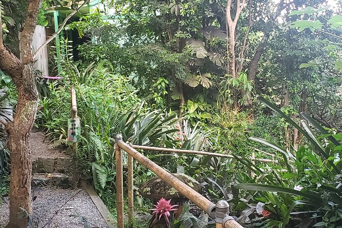 Nature and Sightseeing at Phantasea Tropical Botanical Garden - What could disappoint you