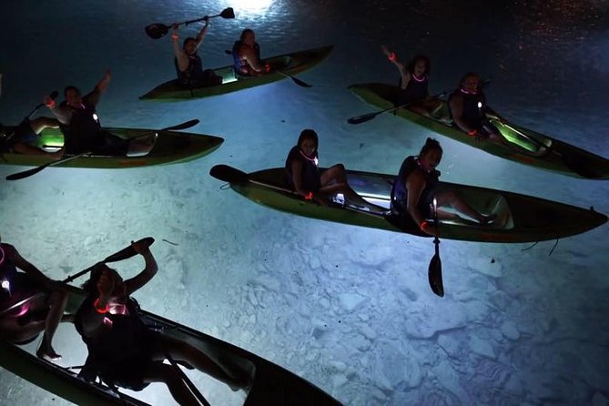Night Kayak Tour St. John - Westin Resort - Who will enjoy this most?