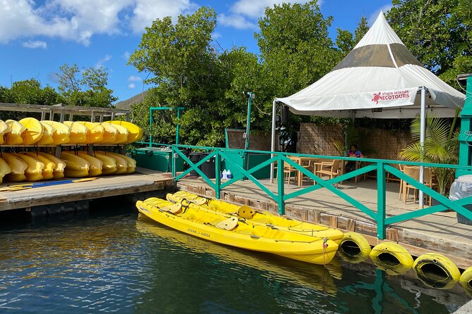 On Your Own: Kayak in the Mangrove Lagoon - A free-form day in St. Thomas’ Mangrove Lagoon