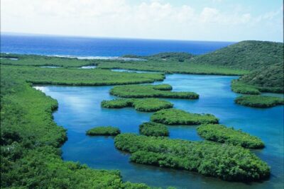 On Your Own: Kayak in the Mangrove Lagoon