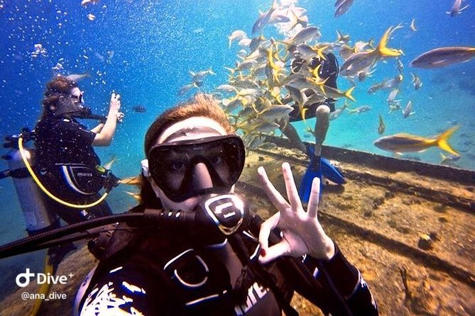 PADI / SSI Open Water Certification - How the three-day St. Thomas course works