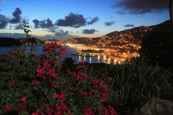 Paradise Taxi & Tours USVI Airport Transport Hampton by Hilton - Who will get the most value from this service