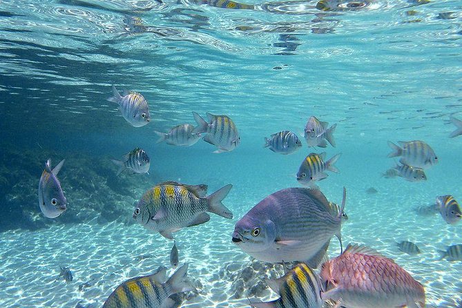 Paradise Taxi & Tours USVI-St Thomas- Airport Transfer Sapphire / Crystal Cove - From the airport to Sapphire and Crystal Cove