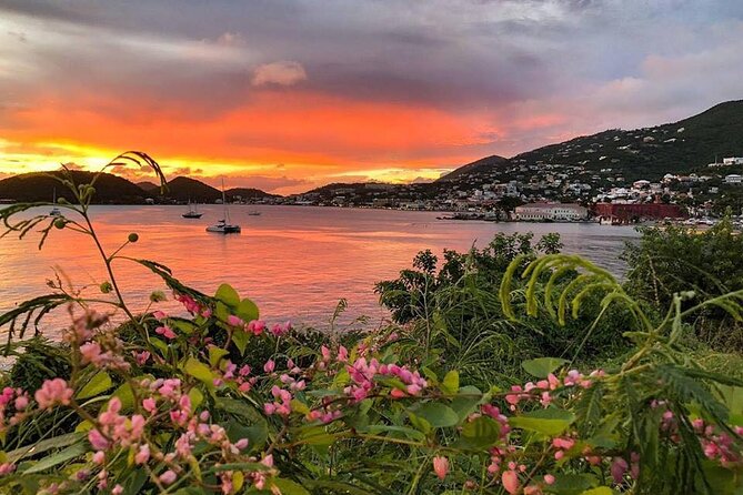 Paradise Taxi & Tours USVI -St. Thomas, Virgin Islands-Private Group-Island Tour - What $775.24 buys your group