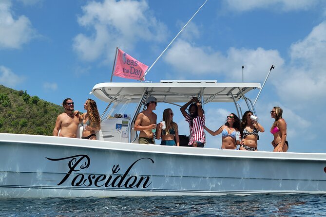 Private Fast Power Catamaran. Full or Half Day for Beach Hopping, Snorkel & Swim - Scott Bay and Maho Bay snorkeling
