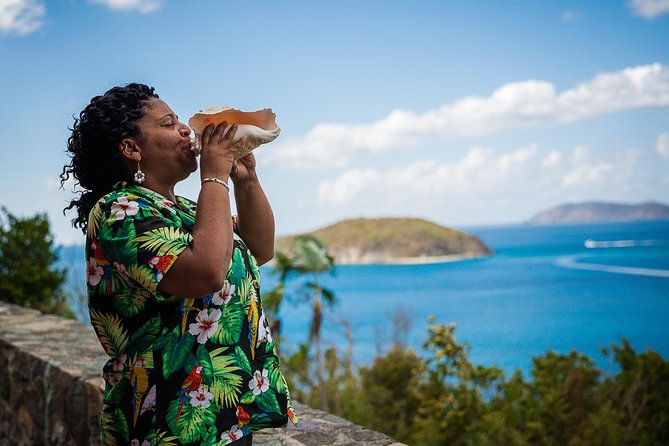 Private Four Hour Historic/Beach Tour with Star Fish Tours & Taxi - Cinnamon Bay gives you a quieter ten-minute pause