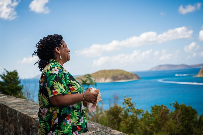 Private Four Hour Historic/Beach Tour with Star Fish Tours & Taxi - Maho Bay is the best bet for turtle watching