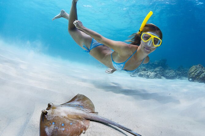 Private Full Day BVI Boat Charter Aboard MV Aquarius - Should you book MV Aquarius?