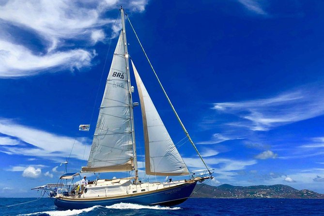 Private Full Day Sail/ Snorkel Experience USVI (Sapphire Marina, STT pick up) - Seven hours aboard Cosmos, with the Virgin Islands as your menu