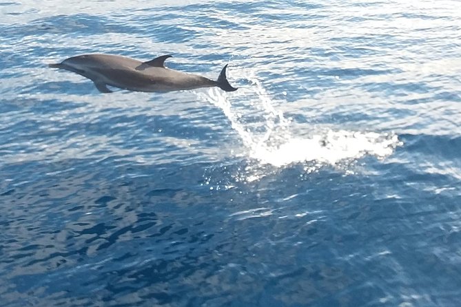 Private Full Day Sail/ Snorkel Experience USVI (Sapphire Marina, STT pick up) - Snorkeling with equipment and patient help