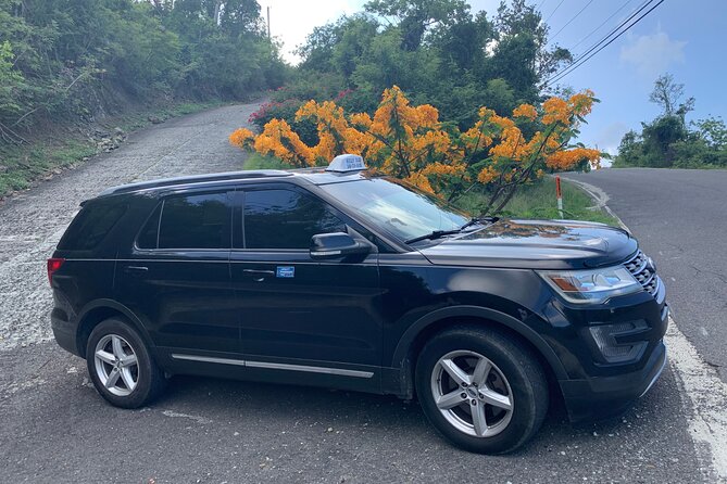 Private Ground Transfers - The ride itself, from airport to hotel or port