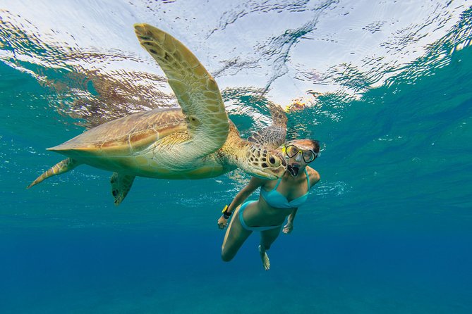 Private Luxury Charter Aboard New Multi-Deck Lagoon Catamaran - Your Captain Helps Shape the Route