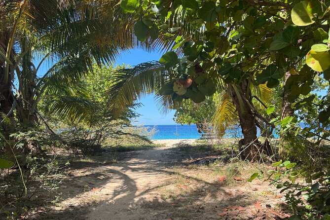 Private Open-Air Jeep Adventure with Tropic Sun –Hidden Beaches - What makes this St. Thomas Jeep tour different