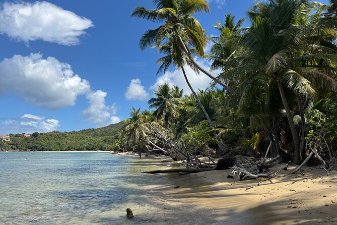 Private Open-Air Jeep Adventure with Tropic Sun –Hidden Beaches - A private way to see St. Thomas