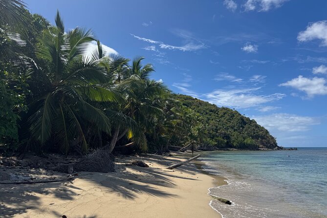 Private Open-Air Jeep Adventure with Tropic Sun –Hidden Beaches - Mountain Top delivers the postcard view