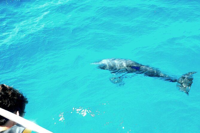 Private Sailing Tour of Pirate Waters and Shipwrecks - Sailing into St. Croix’s pirate past