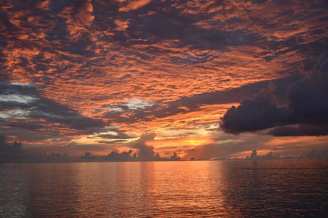 Private Sunset Sailor's Delight from Sapphire Marina - Booking Timing and Cancellation Rules
