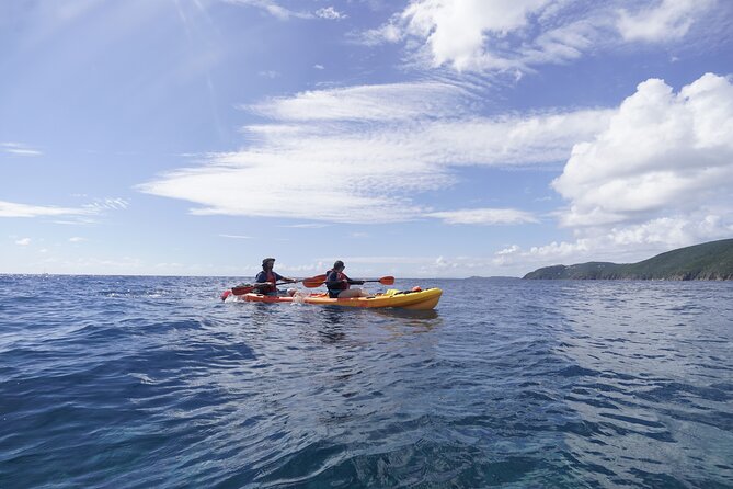 Reef and Turtle Adventure - Kayak and Snorkel Tour - Starting at Emerald Beach Resort at 9:30 a.m.