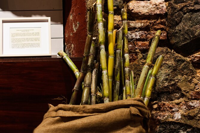 Rum Tasting Experience in the Old Barrel House - Charlotte Amalie History Between Sips