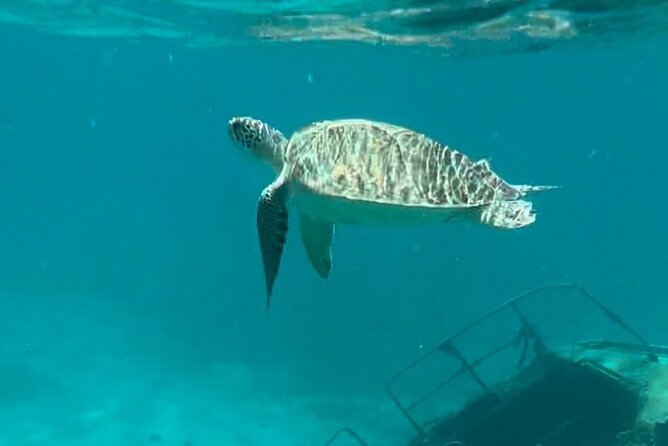 Sail and Snorkel Private Charter - Half Day Morning - Why a private morning charter works well in St. Thomas