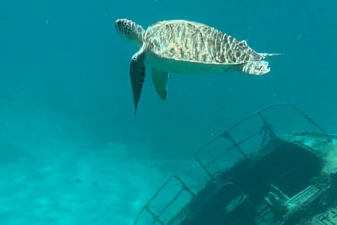 Sail and Snorkel Private Charter - Mid-Day Sail 1230pm to Sunset - Why the St John Waters Make a Good Route