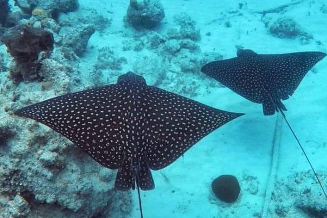 Sail/Snorkel Adventure from Sapphire Marina,STT NO CROWDS~ 6 GUEST MAX - Key things to know before you book