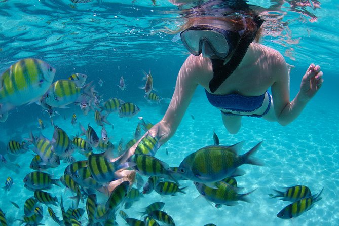 Sail/Snorkel Adventure from Sapphire Marina,STT NO CROWDS~ 6 GUEST MAX - Why the six-person Cosmos Mariner makes a difference