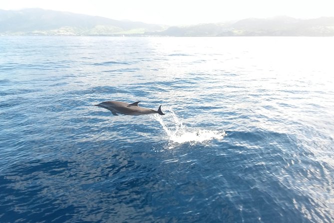 Sail/Snorkel Adventure from Sapphire Marina,STT NO CROWDS~ 6 GUEST MAX - Drinks, snacks, and the easygoing atmosphere