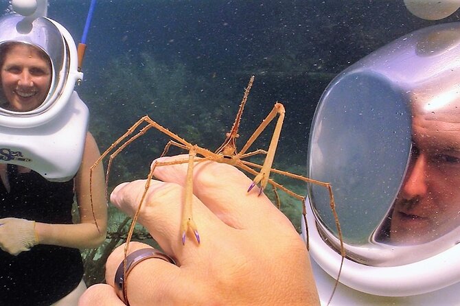 Sea Trek Helmet Dive at Coral World Ocean Park - Why the guide team matters