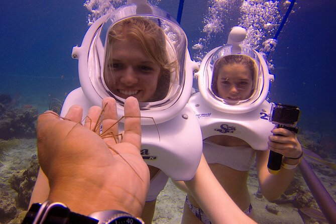 Sea Trek Helmet Dive at Coral World Ocean Park - Making sense of the $119 price
