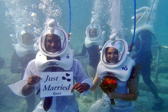 Sea Trek Helmet Dive at Coral World Ocean Park - A practical plan for the rest of your park visit