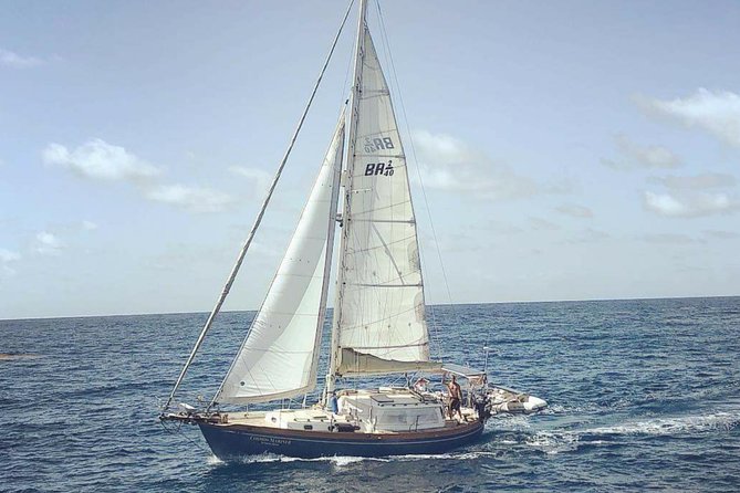 Simply Sailing Private Sail from Sapphire Marina - Key Points for Your Day on the Water