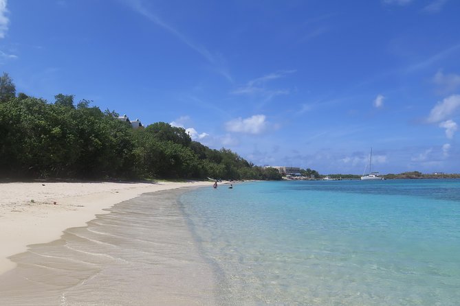 Small Group Sea Turtle Tour (Guaranteed to see turtles) - Starting near Lindberg Bay