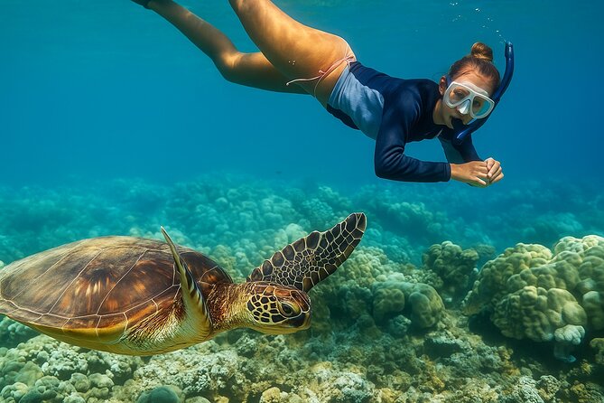 Snorkel and Sunset Cruise from Margaritaville Resort - A 3:00 PM start at Margaritaville Resort