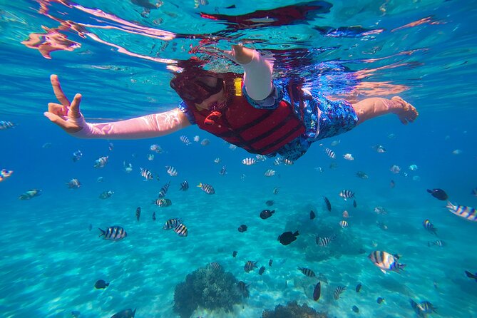 Snorkel St. John Tour from Sapphire and Margaritaville - The 9 a.m. start from Margaritaville St. Thomas